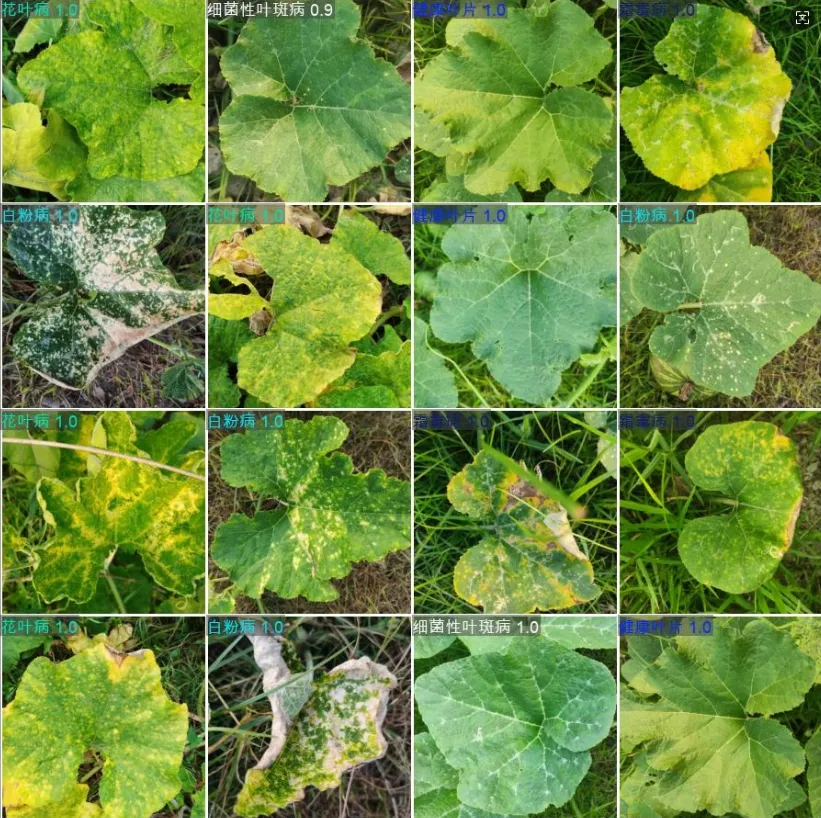 image-20260111005714540