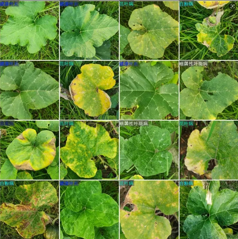 image-20260111005603600