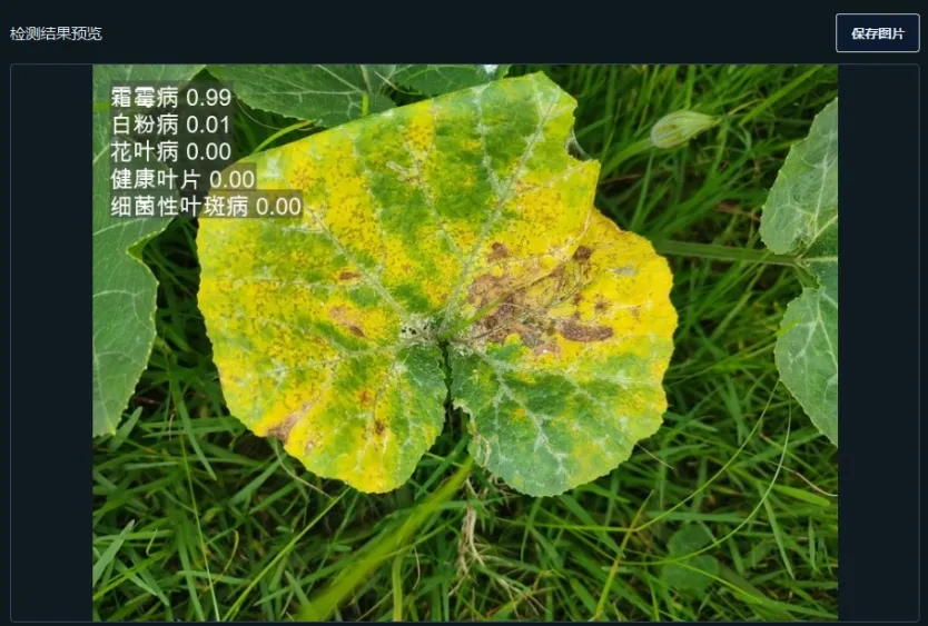 image-20260111005347457