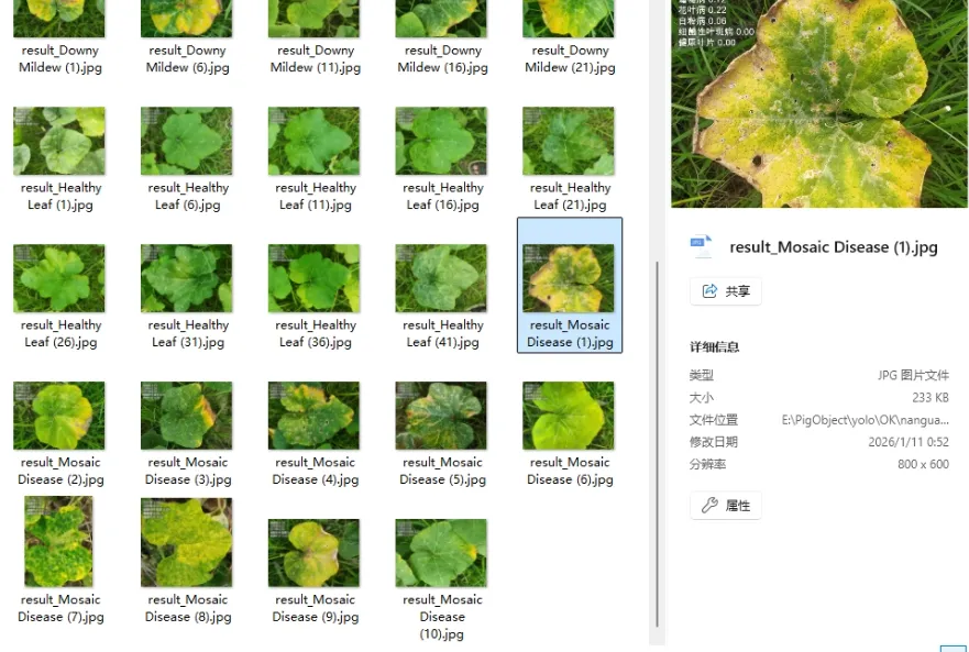 image-20260111005513598