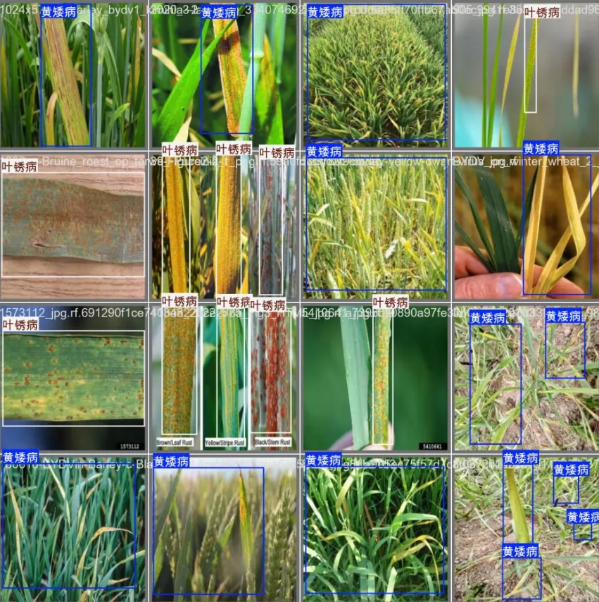 image-20260113003043535