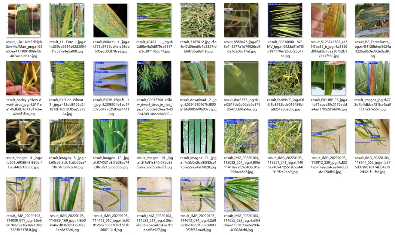 image-20260113003005164