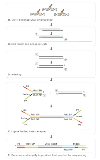 ChIPseq2