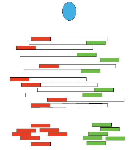 ChIPseq