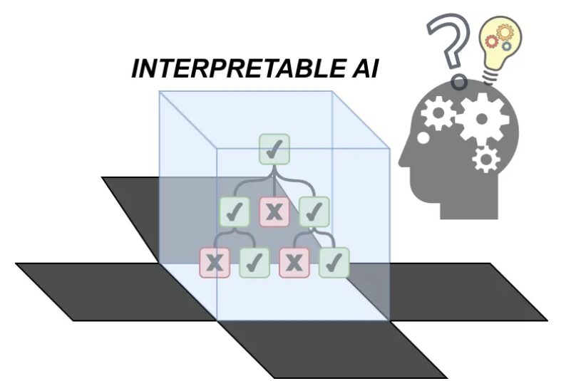 在 PyTorch 中实现可解释的神经网络模型