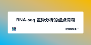 RNA-seq 差异分析的点点滴滴（1）