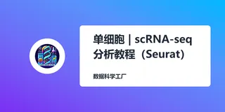 R中单细胞RNA-seq数据分析教程 (2)