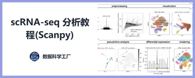 Scanpy 分析 3k PBMCs：降维与聚类