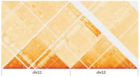 利用 Hi-C 挖掘癌症结构变异
