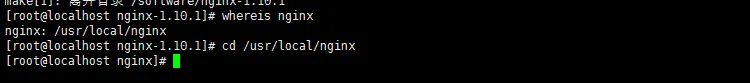 nginx-whereis.png