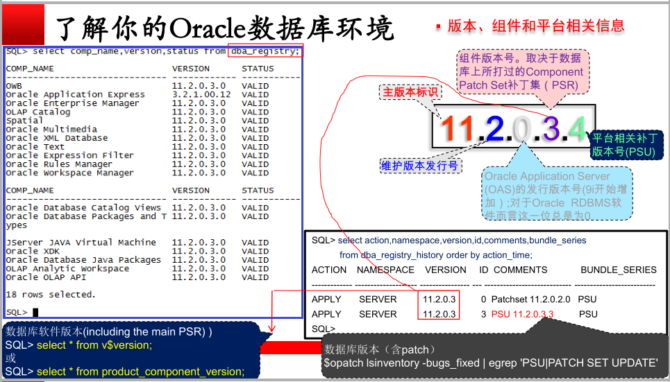 了解oracle数据库的情况