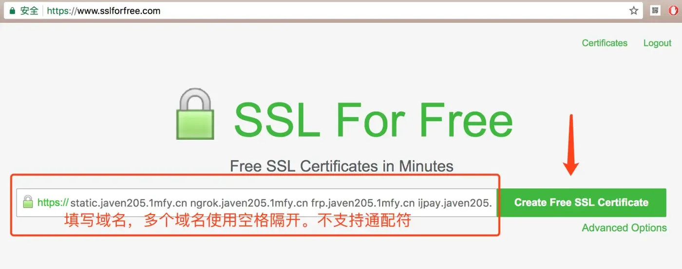 填写域名创建免费的SSL证书