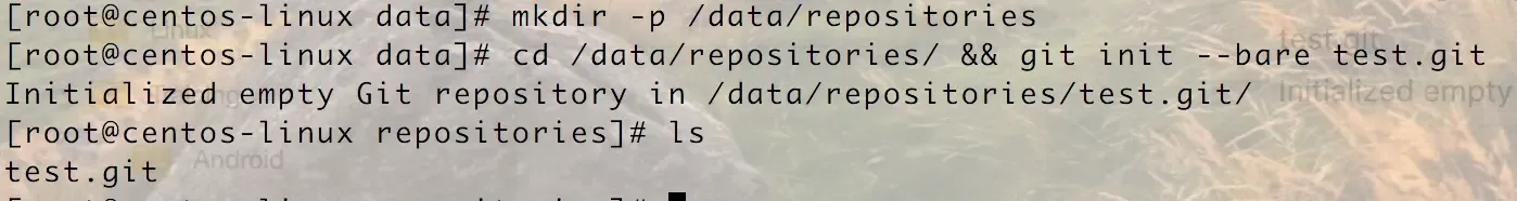 初始化 git 仓库
