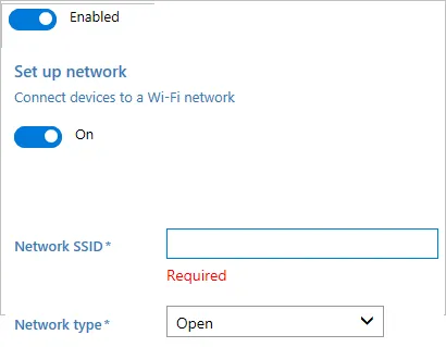 输入网络 SSID 和类型