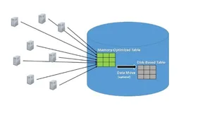 OLAP or OLTP该怎么选？数据库系统如何搭建？