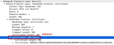 WebRTC DTLS ｜ 谈谈 DTLS Fragment