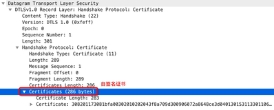 WebRTC DTLS ｜ 谈谈 DTLS Fragment