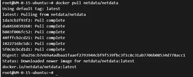 ʹ�� Netdata ������������һ��ʵʱ������