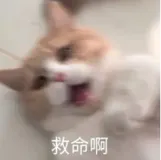 用了云立方HTTP代理网速能变快吗？