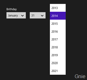 Windows 8.1 新增控件之 DatePicker