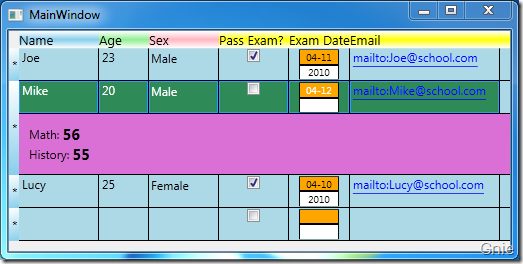 WPF 4 DataGrid 控件（进阶篇二）