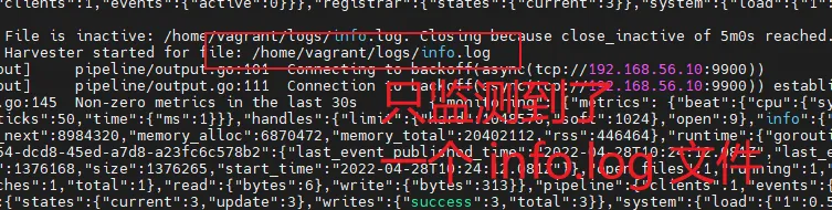 filebeat 只监测到了 info.log 文件