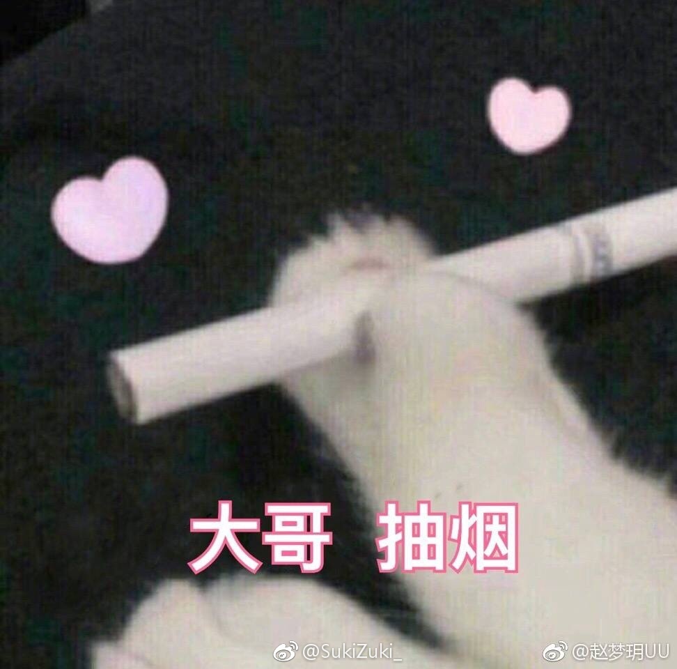 个人头像照片