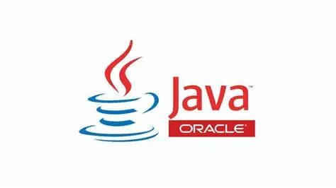 Java-big