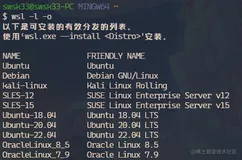 WSL2安装和简单使用教程