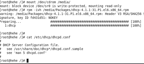 linux服务 DHCP SAB
