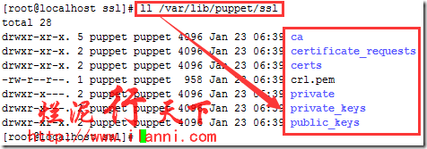 puppet部署三 配置puppet