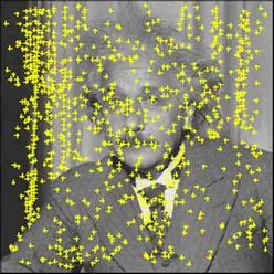 SIFT算法学习小记 