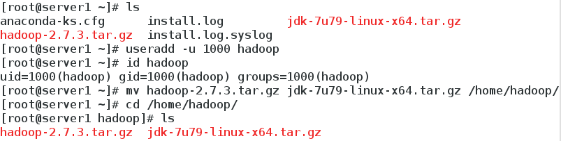 Linux的企业-Hadoop的多节点配置