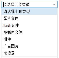 从零开始编写自己的C#框架（21）——添加分类类型页面