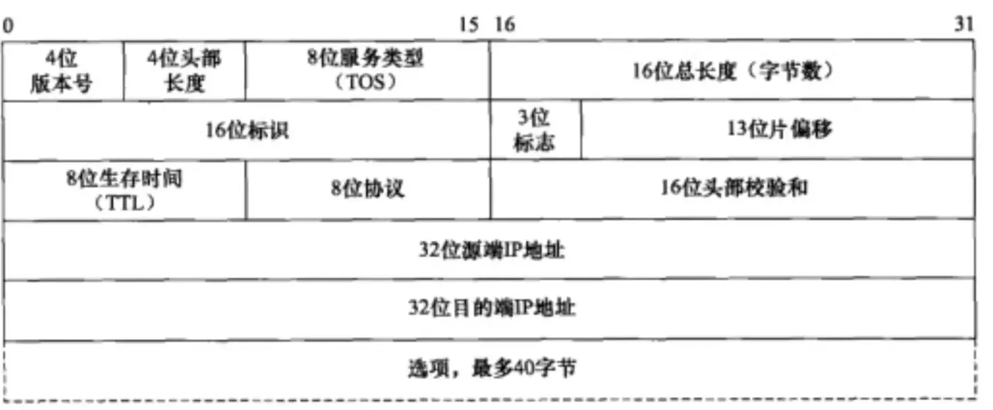 IP 报头