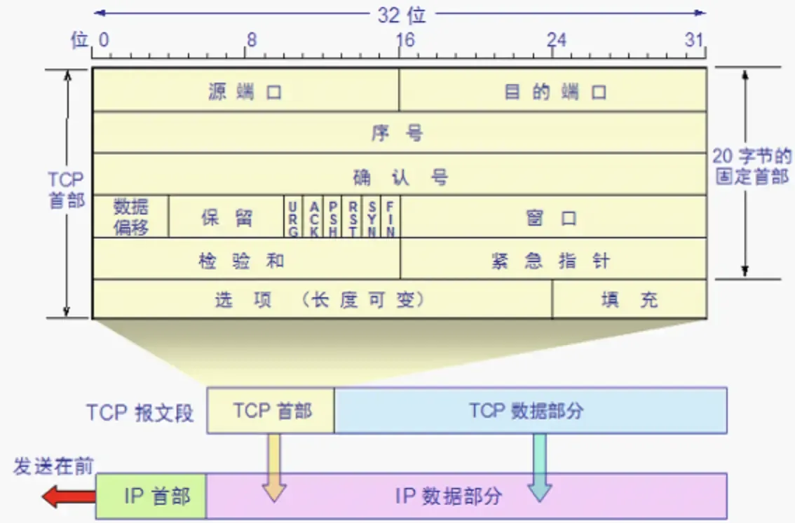 TCP 报头