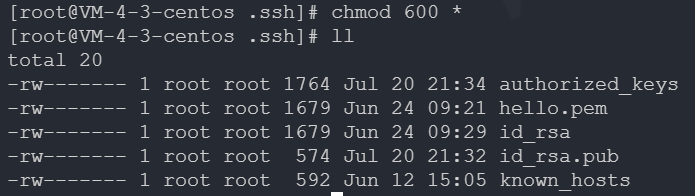 【全面解析】Windows 如何使用 SSH 密钥远程连接 Linux 服务器