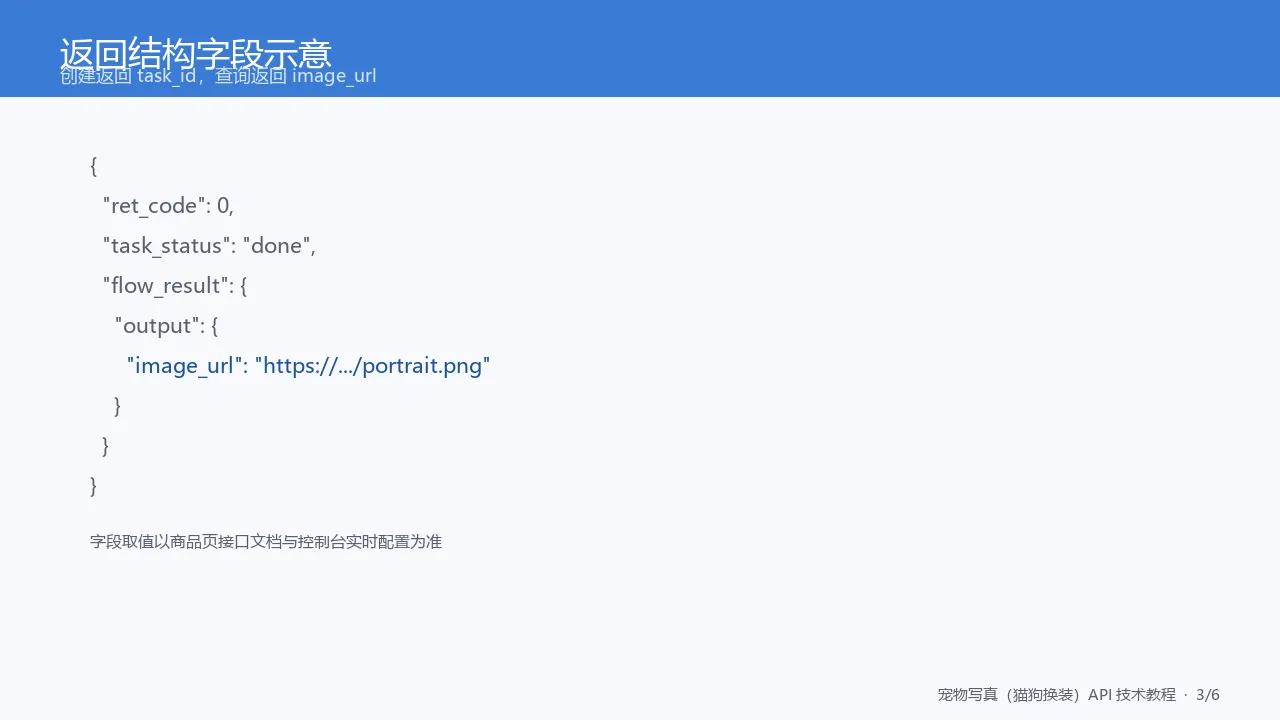图4:返回结构字段示意