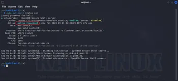 kali 安装cpolar实现 ssh 远程连接