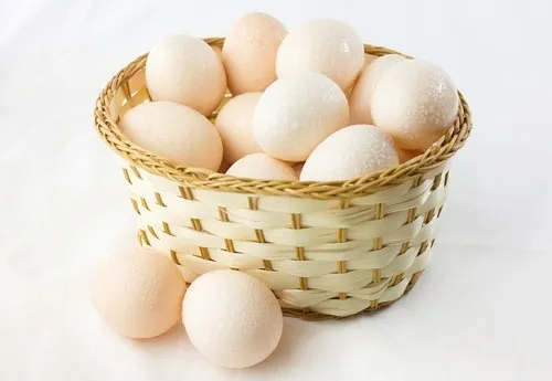 世界地球日|你的“衣食住行”也可以像这样酷炫到爆！