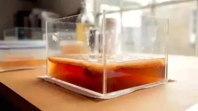 世界地球日|你的“衣食住行”也可以像这样酷炫到爆！