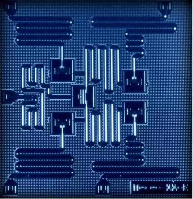 从硬件提升到算法迭代，正在发生的量子计算革命