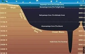 我国研发的“水下机器人”，可以利用海水温度差自行供电