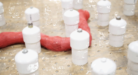 无需编程操作和视觉系统，这款机器人就可灵活若蛇