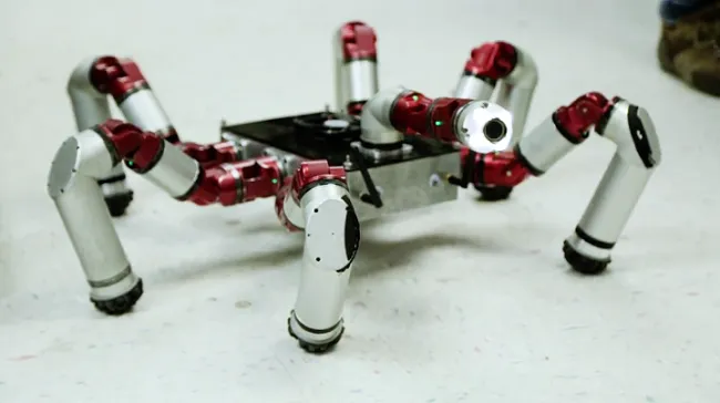 无需编程操作和视觉系统，这款机器人就可灵活若蛇
