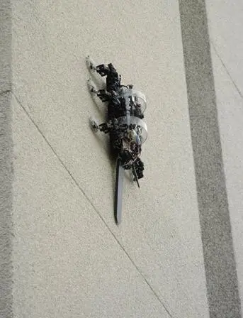 盘点那些脑洞大开的人类设计的“异形”机器人6