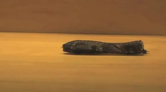 盘点那些脑洞大开的人类设计的“异形”机器人12