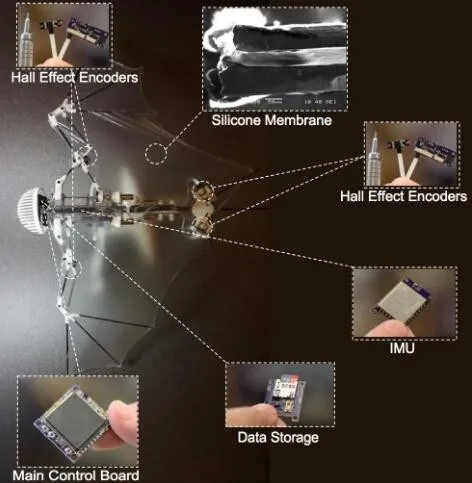 科学家打造蝙蝠机器人，未来将用于工地监工