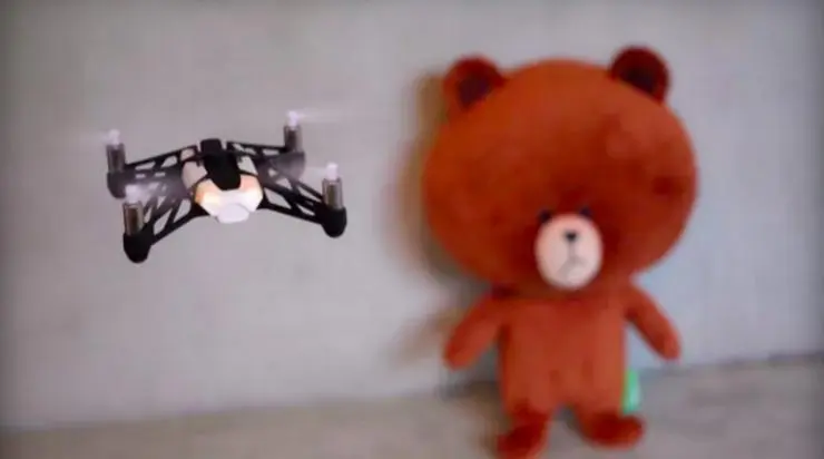 无人机get新技能，惹黑熊心跳加速1