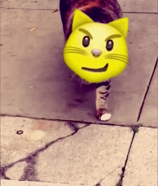 靠疯狂收购就把AR布局好的Snap，能给我们带来什么启示？